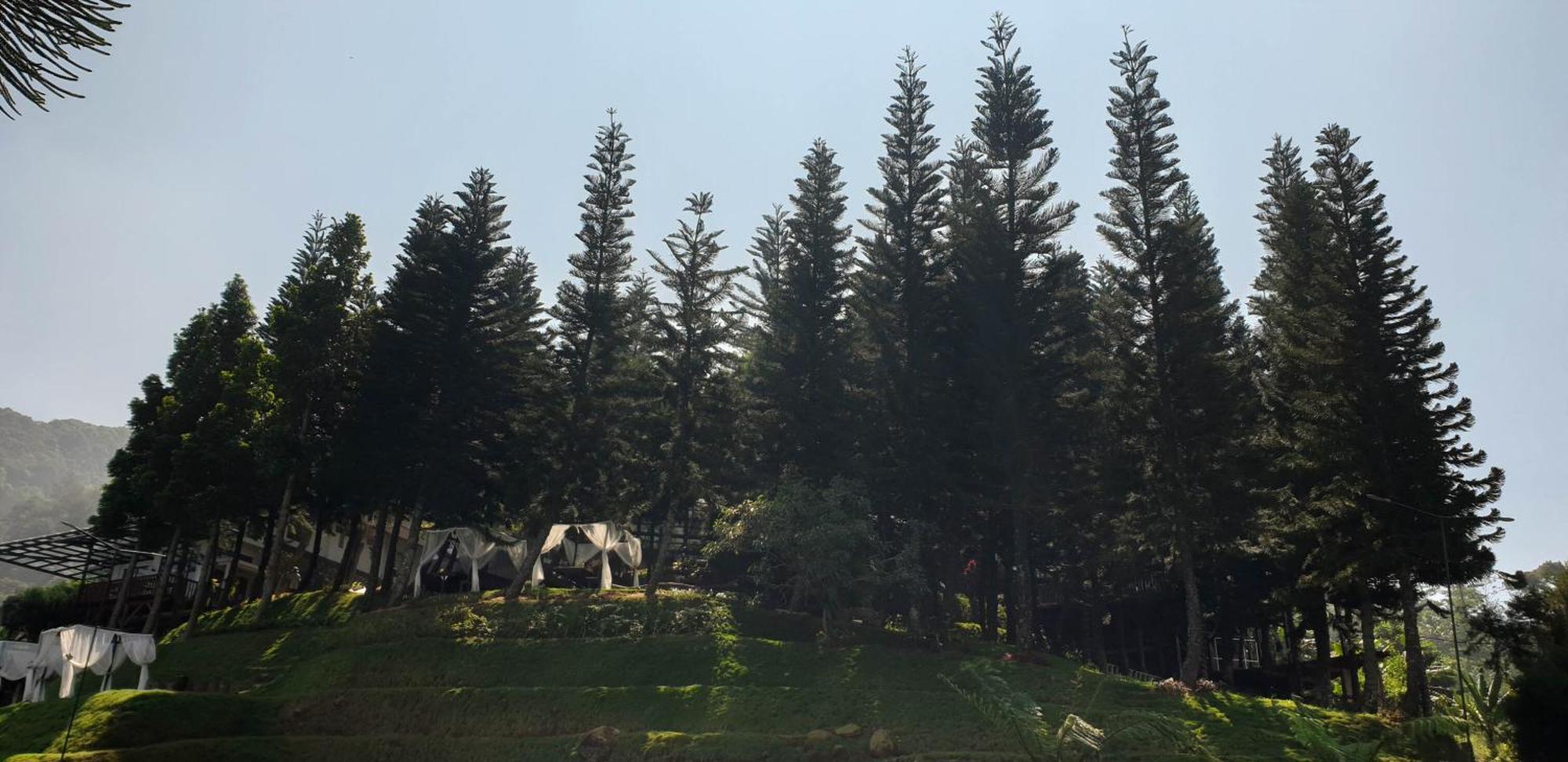 Damar Langit Resort ซิซารัว ภายนอก รูปภาพ