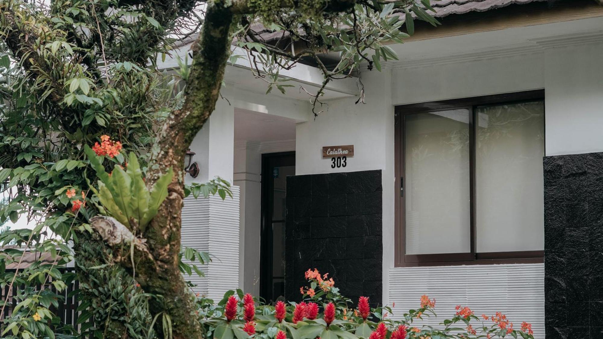 Damar Langit Resort ซิซารัว ภายนอก รูปภาพ